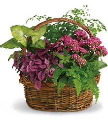 Secret Garden Basket from Beecher Florists, flower delivery in Beecher
